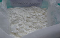 oral steroids powder Turinabol/4-Chlorodehydromethyl Testosterone CAS: 2446-23-2