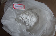 Anti Estrogen Steroids white Powder  Exemestane Aromasin CAS: 107868-30-4