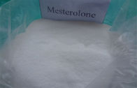99% Anabolic Steroid for Muscle Gain Mestanolone ace white powder CAS :  521-11-9